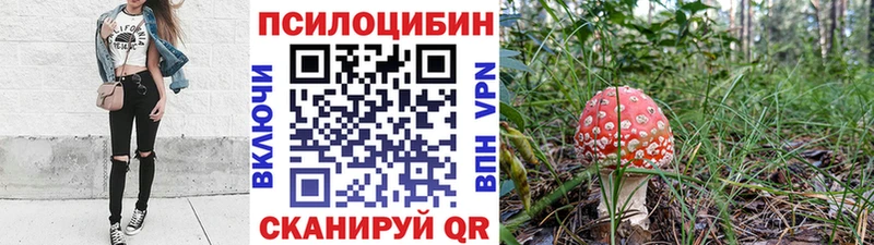 Галлюциногенные грибы Magic Shrooms  наркотики  OMG ссылки  Пустошка 
