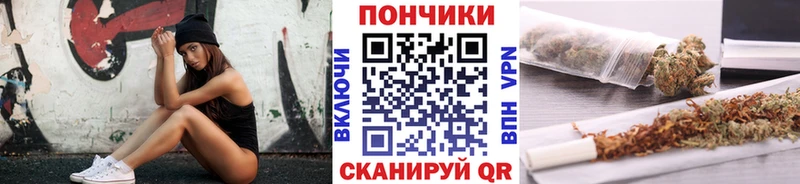 Конопля план  купить  цена  Пустошка 